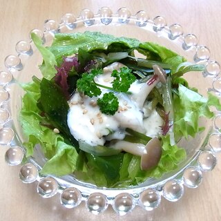 海藻としめじのヨーグルトドレッシングサラダ